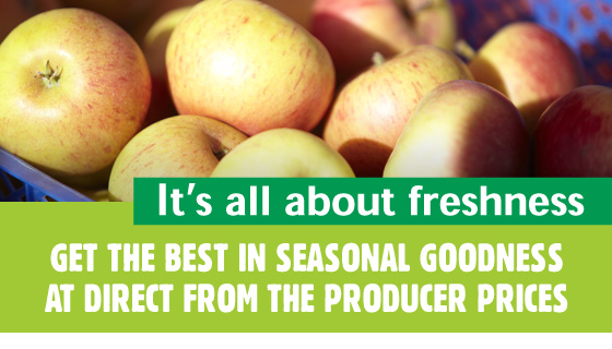 What's in Season What's in Season