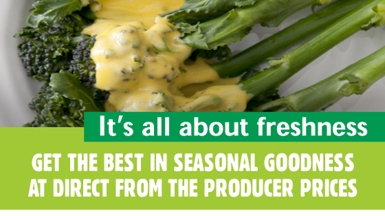 What's in Season What's in Season