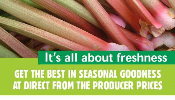 What's in Season What's in Season