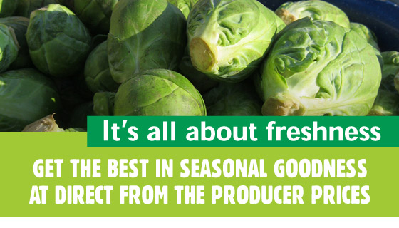 What's in Season What's in Season