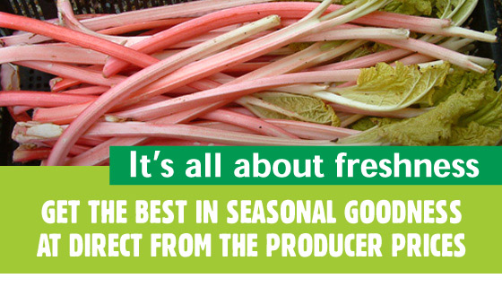 What's in Season What's in Season