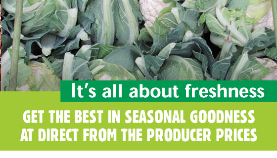 What's in Season What's in Season