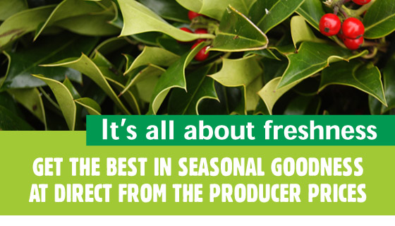 What's in Season What's in Season