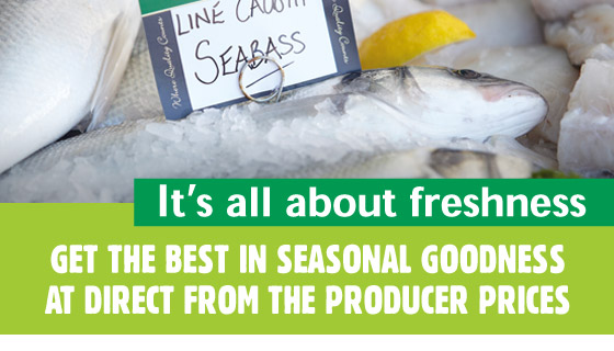 What's in Season What's in Season