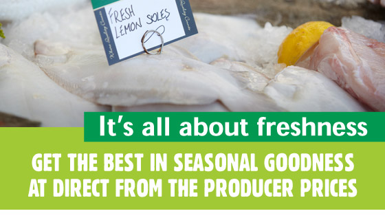 What's in Season What's in Season