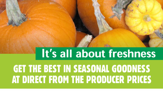 What's in Season What's in Season