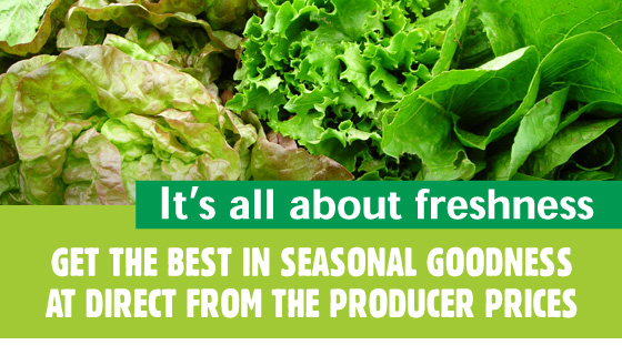 What's in Season What's in Season